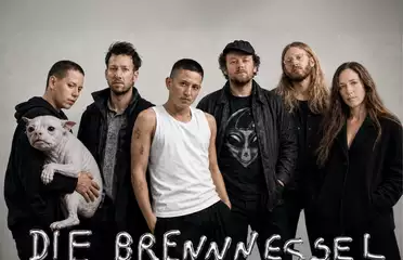 Die Brennnessel